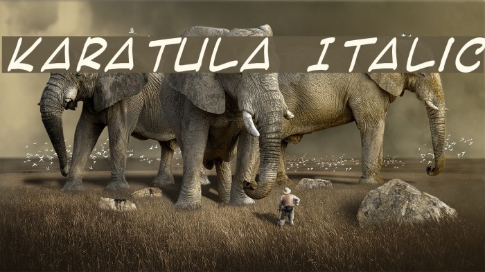 Karatula Italic Font examples