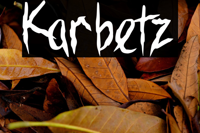 Karbetz Example 2
