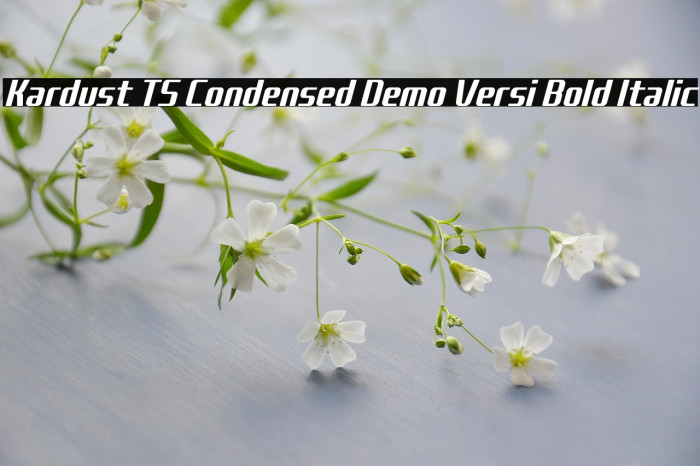 Kardust TS Condensed Demo Versi Bold Italic Example 1