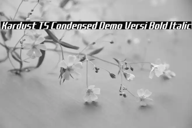 Kardust TS Condensed Demo Versi Bold Italic Font examples
