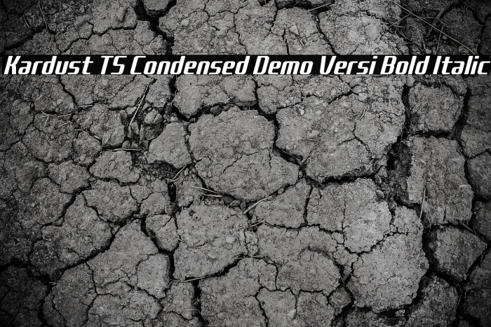 Kardust TS Condensed Demo Versi Bold Italic Example 3