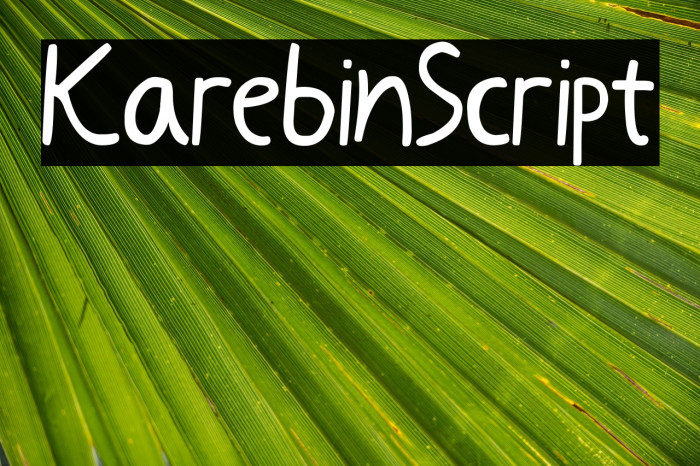 KarebinScript Example 1