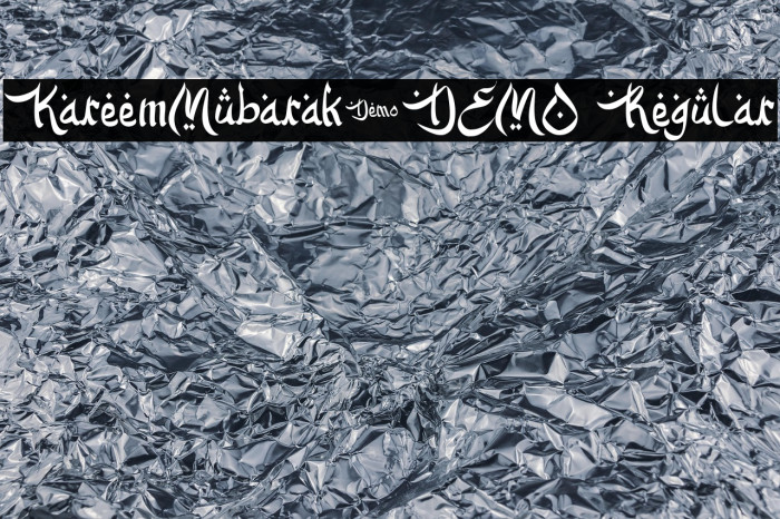 KareemMubarak-DEMO Regular Example 2