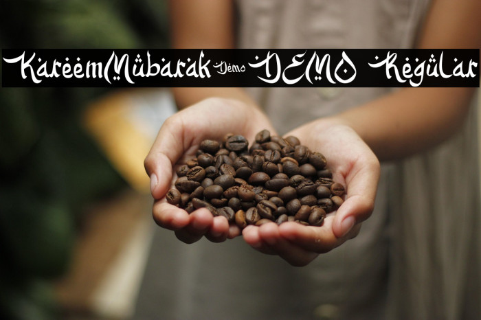 KareemMubarak-DEMO Regular Example 3
