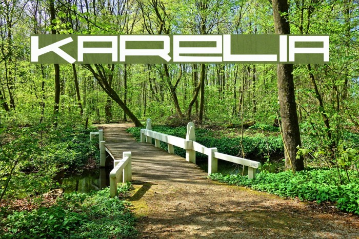Karelia Font examples
