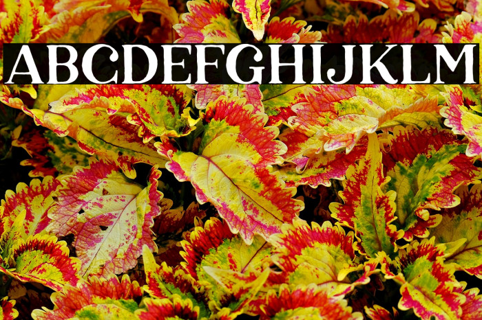 KarelleDEMO Example 2