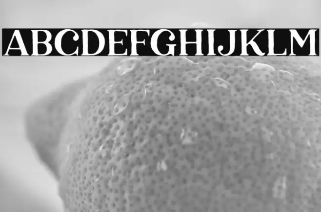 KarelleDEMO Font examples