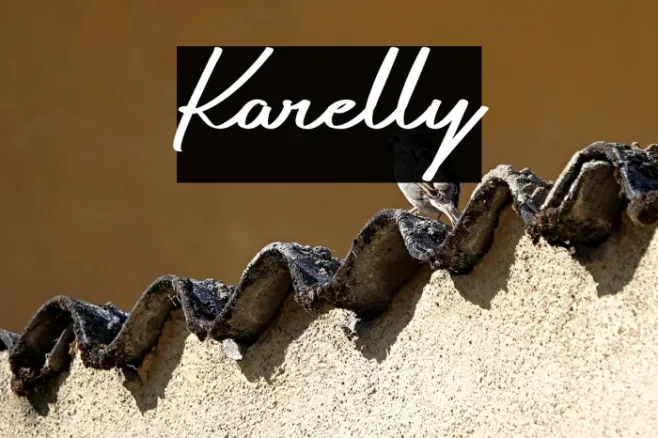 Karelly Example 1