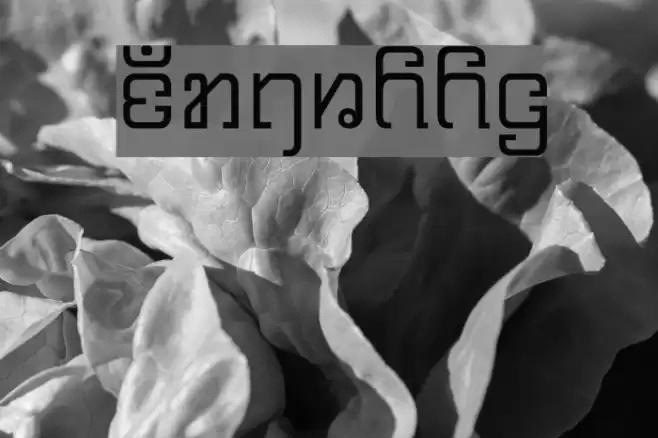 Karenni Font examples