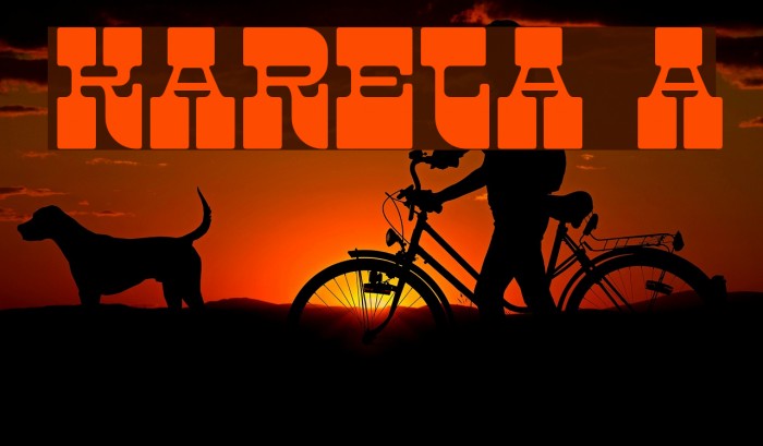 Kareta A Fuentes examples