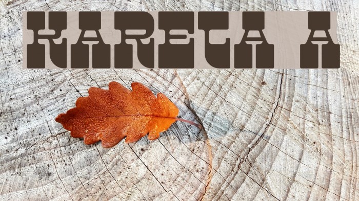 Kareta A Fuentes examples