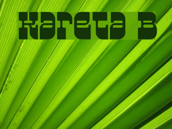 Kareta B Font examples