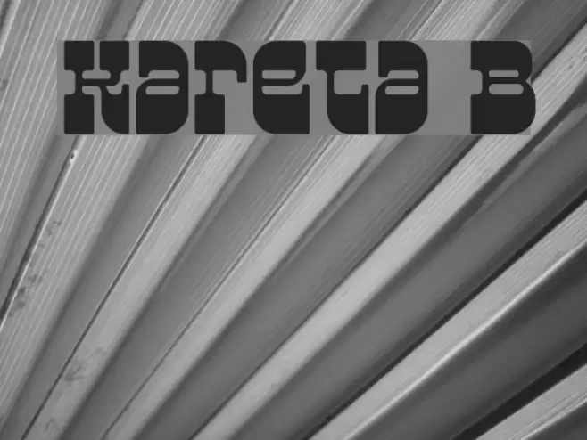 Kareta B Font examples
