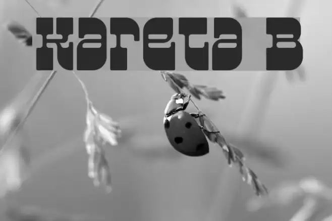 Kareta B Font examples
