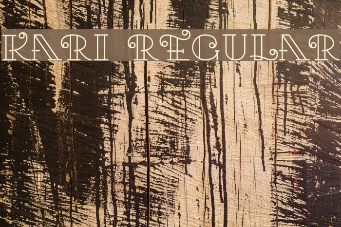 Kari Regular Font examples