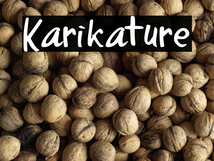 Karikature Example 1