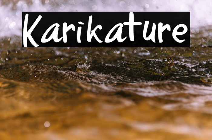 Karikature Example 2