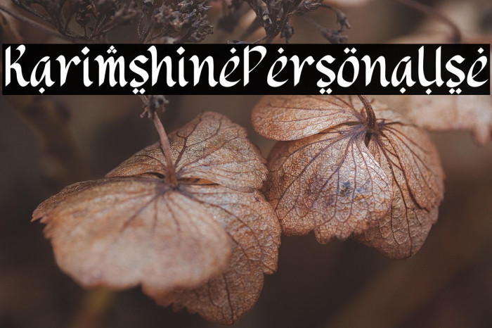 Karimshine Personal Use Example 1