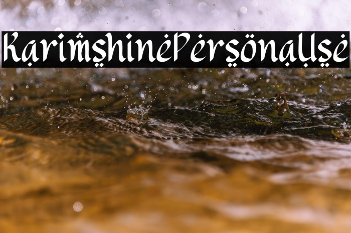 Karimshine Personal Use Example 3