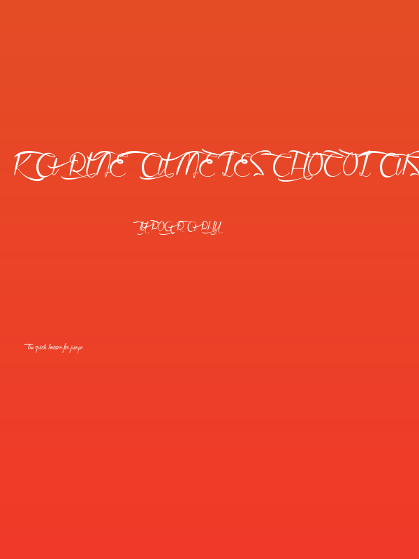 Karine aime les Chocolats Poster