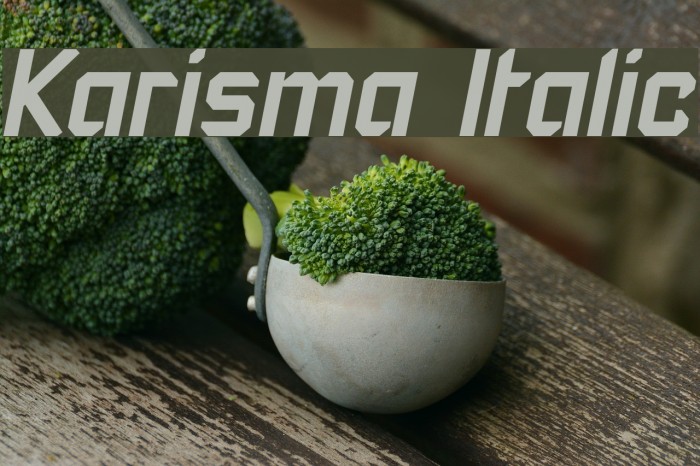 Karisma Italic Font examples