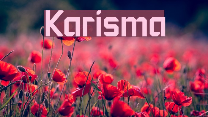 Karisma Font examples