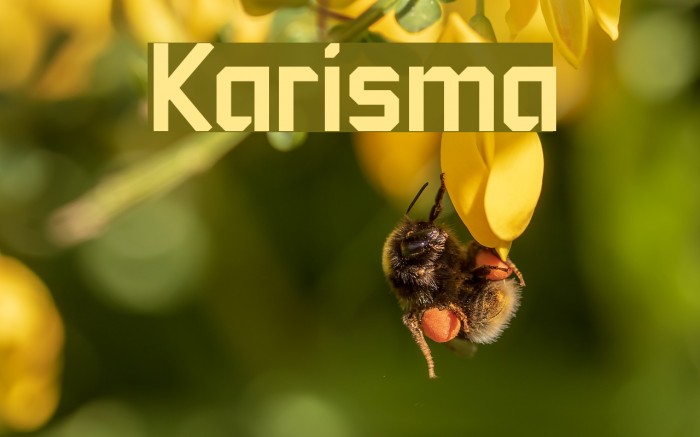 Karisma Font examples
