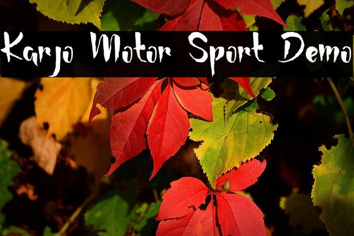 Karjo Motor Sport Demo Example 1