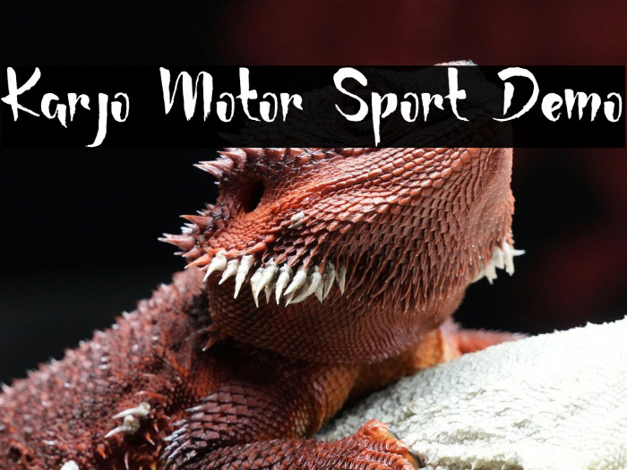 Karjo Motor Sport Demo Example 2