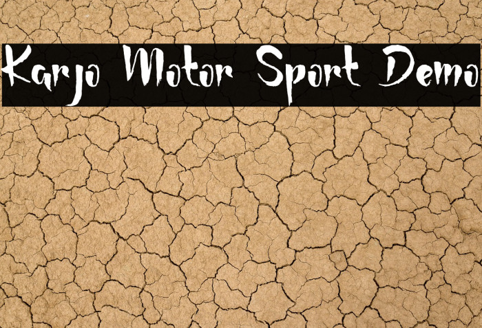 Karjo Motor Sport Demo Example 3