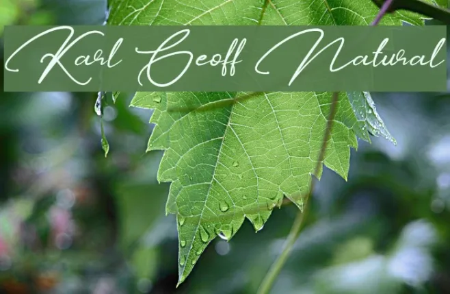 Karl Geoff Natural Example 1