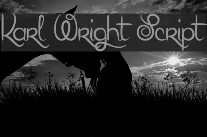 Karl Wright Script Font examples