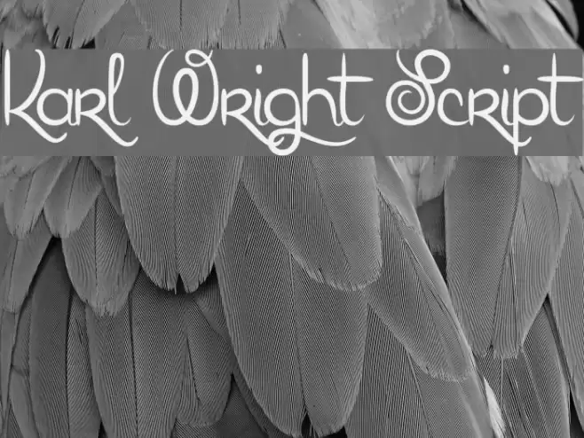 Karl Wright Script Font examples