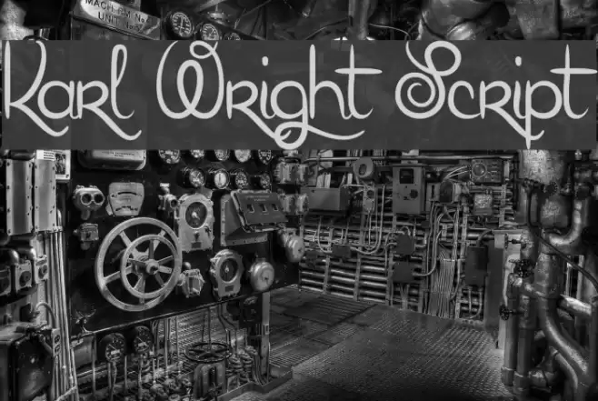 Karl Wright Script Font examples