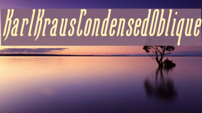 KarlKrausCondensedOblique Font examples