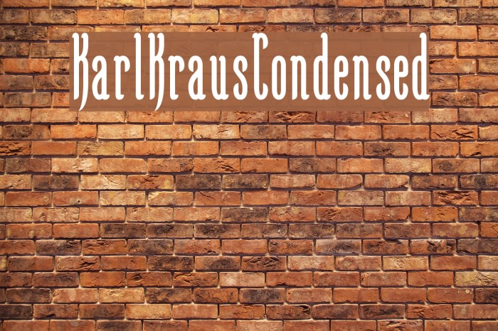 KarlKrausCondensed Font examples