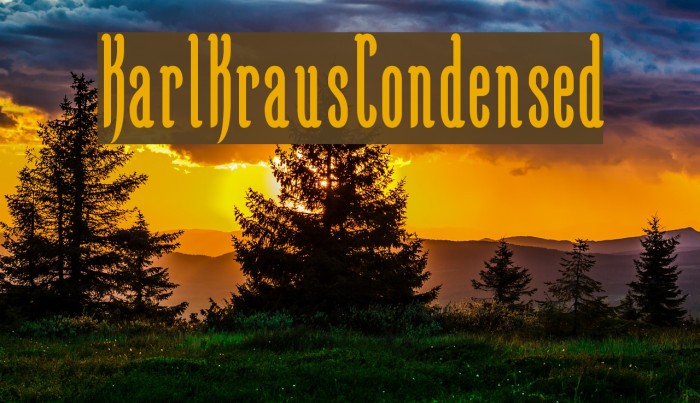 KarlKrausCondensed Font examples