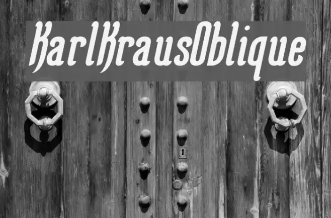 KarlKrausOblique Шрифта examples