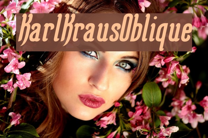 KarlKrausOblique Font examples