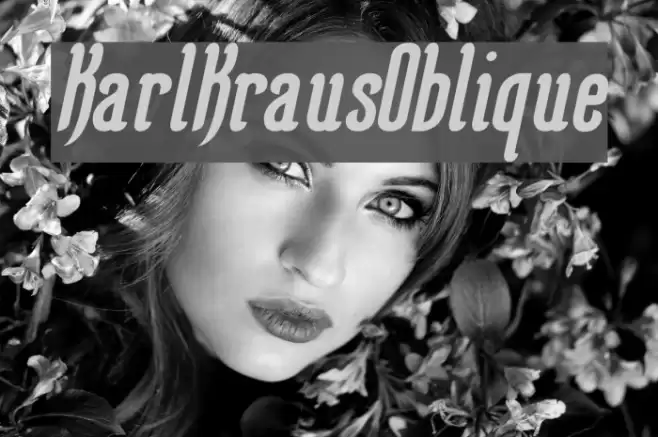 KarlKrausOblique Шрифта examples