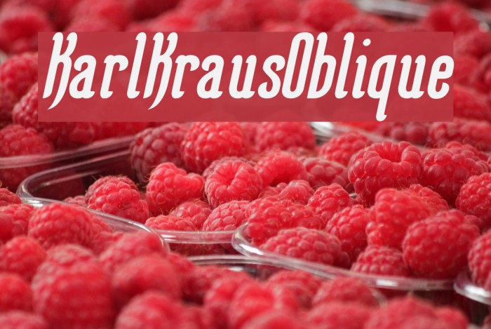 KarlKrausOblique Font examples