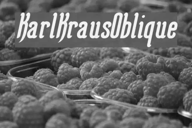 KarlKrausOblique Шрифта examples