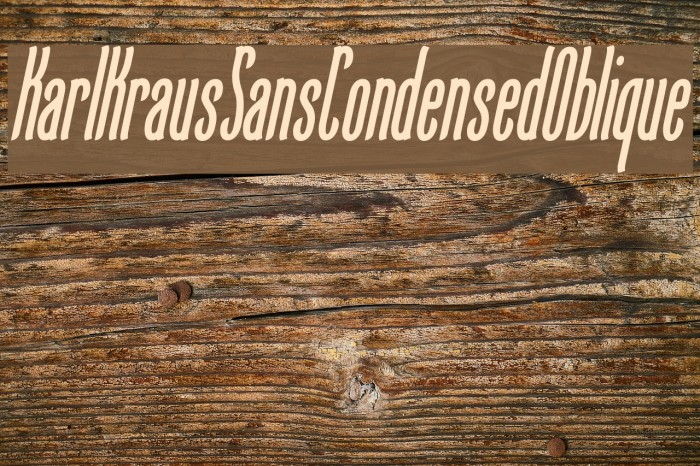 KarlKrausSansCondensedOblique Font examples