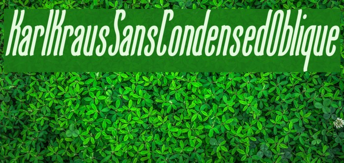 KarlKrausSansCondensedOblique Font examples