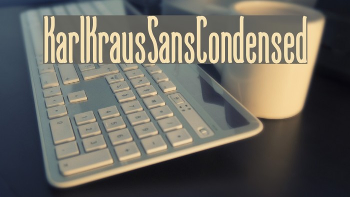 KarlKrausSansCondensed Font examples