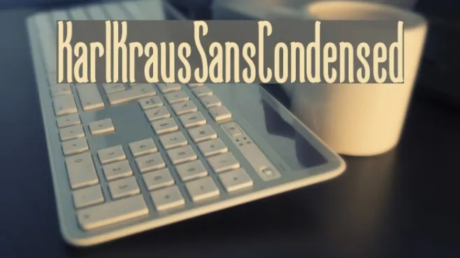 KarlKrausSansCondensed Example 2