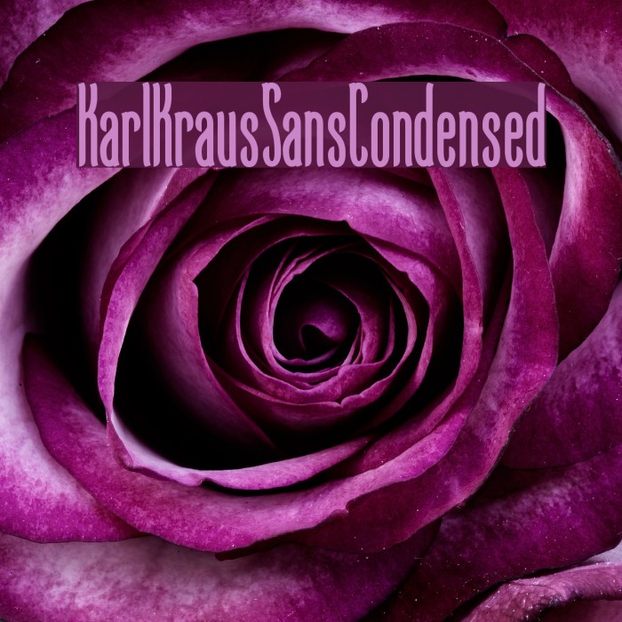 KarlKrausSansCondensed Font examples
