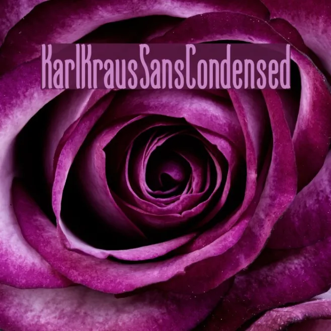 KarlKrausSansCondensed Example 3