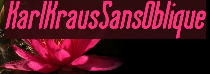 KarlKrausSansOblique Font examples