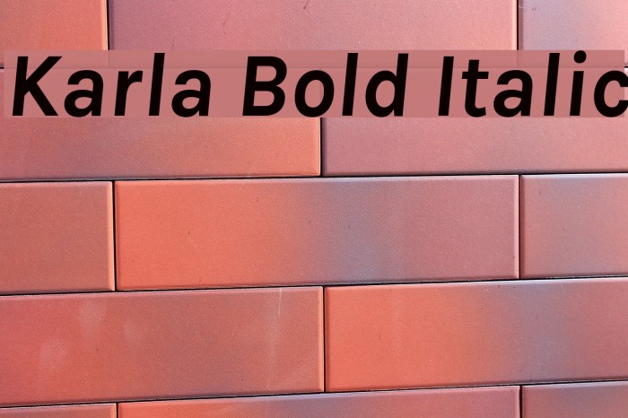 Karla Bold Italic Font examples